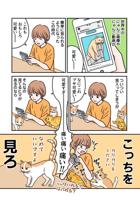 見てほしい猫