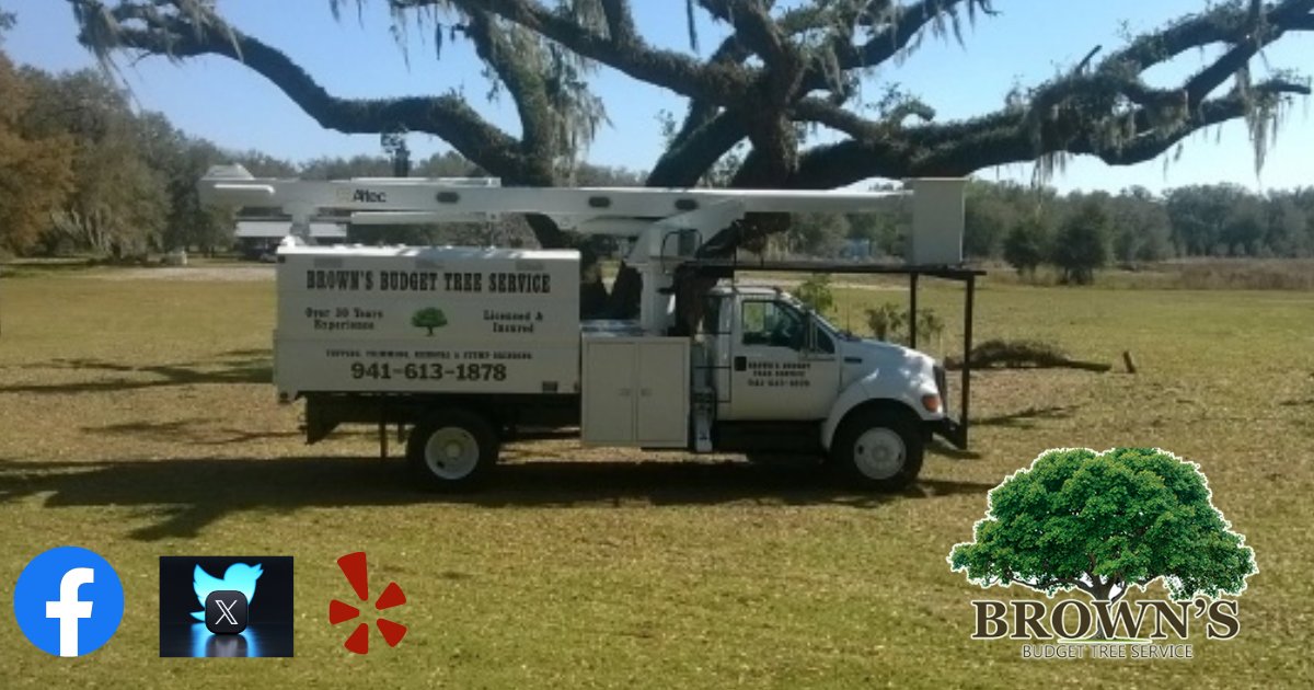 BrownBudget's tweet photo. What does it mean to be a family-owned and operated multi-generational small business in Port Charlotte? It means we will be here tomorrow, next year, and the next generation as long as we take care of you. Call Jean for an estimate at (941) 613-1878. https://t.co/413dJjwCGd