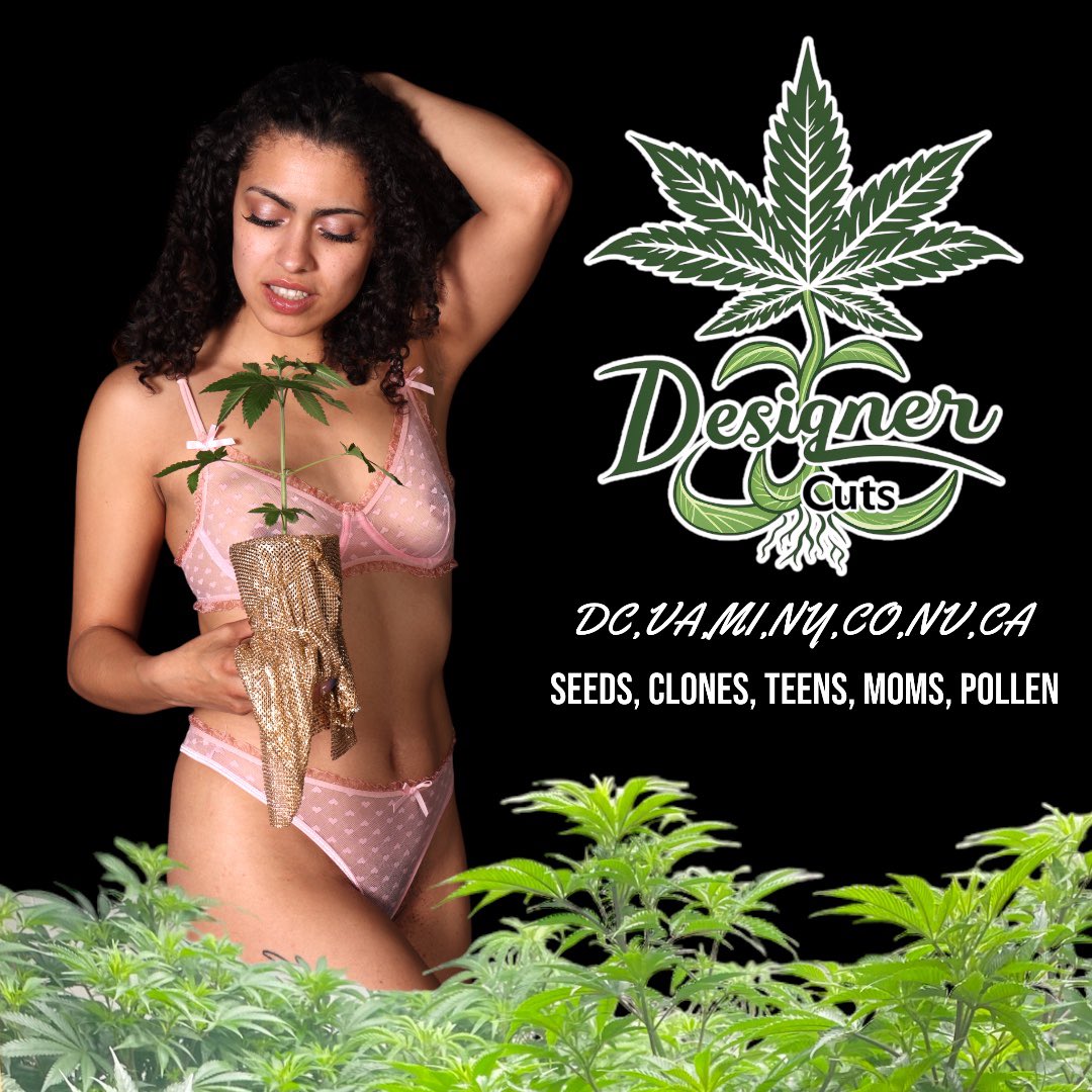 realroyalcanna's tweet photo. #Designercuts we’re now servicing Vegas #cannabis #genetics #clones #growers https://t.co/Ii5b1biDoY