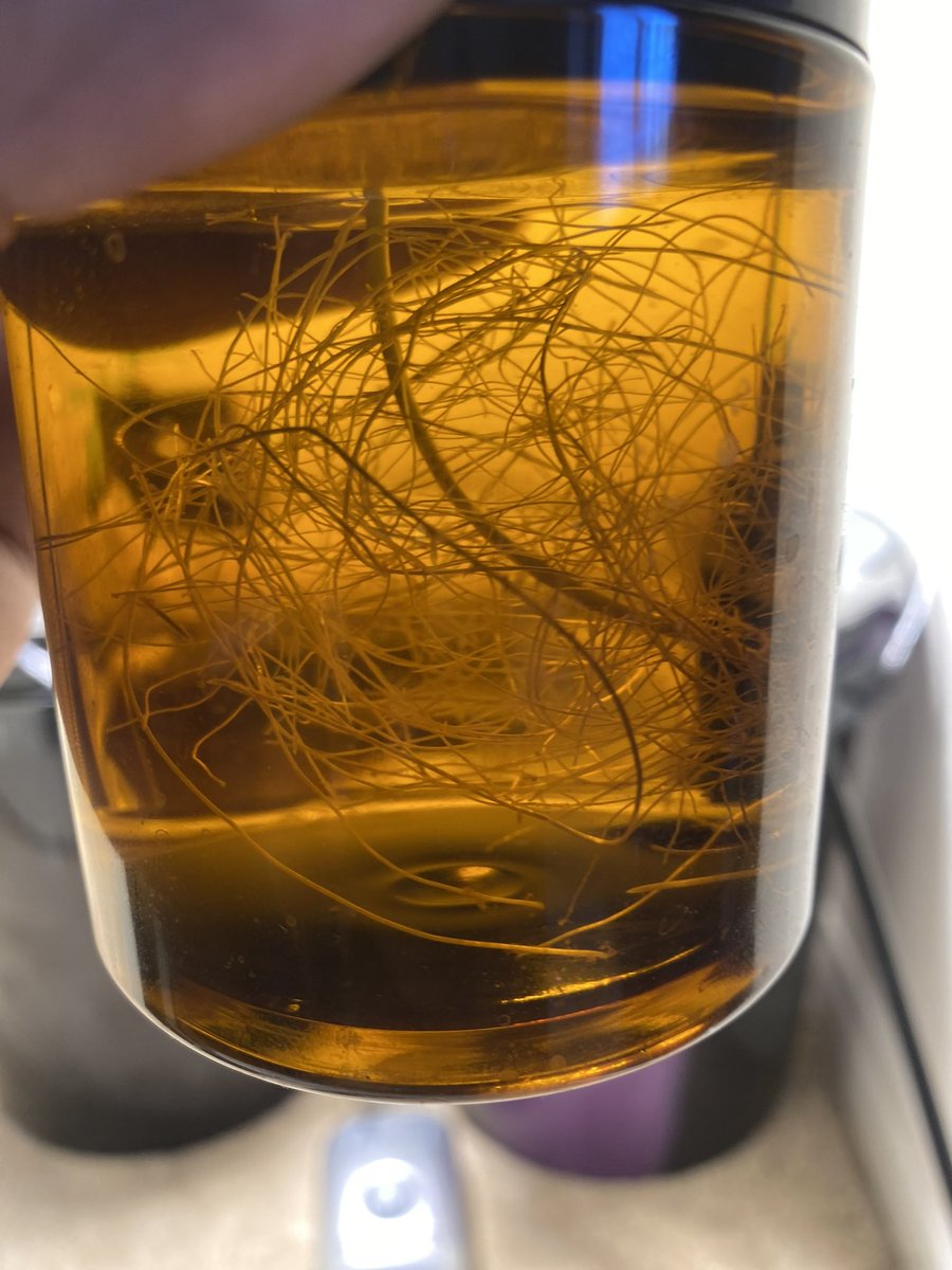 realroyalcanna's tweet photo. #Designercuts we’re now servicing Vegas #cannabis #genetics #clones #growers https://t.co/Ii5b1biDoY