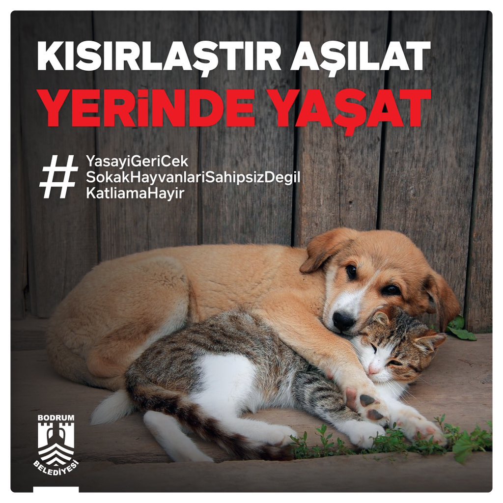 #YasayıGeriCek #YasayıGeriCekKatliamaHayır