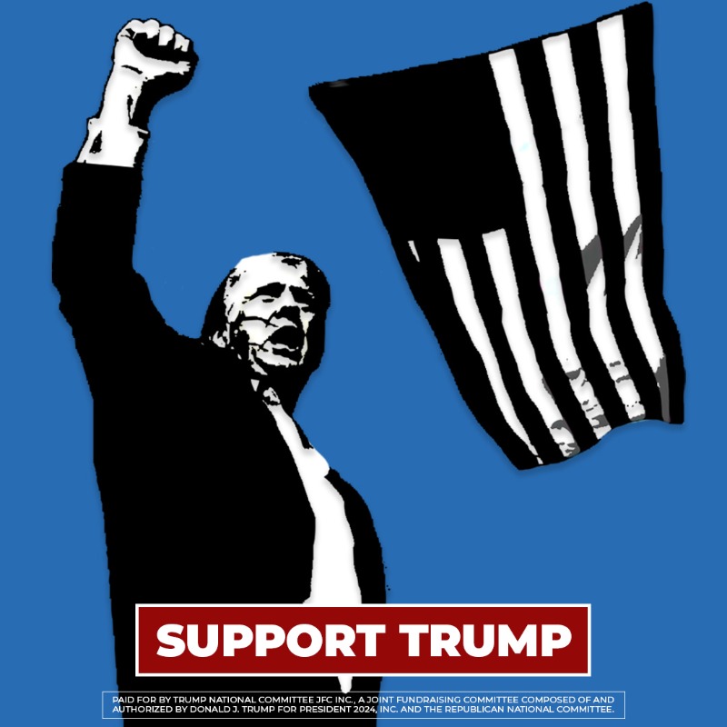 TeamTrump's tweet photo. FEAR NOT, AMERICA!

I will always love you for supporting me.

Unity. Peace. Make America Great Again.
