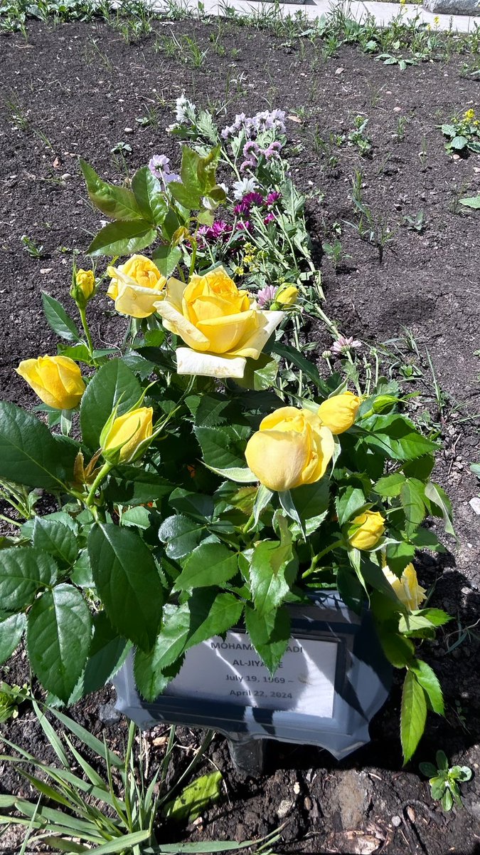 رحم الله قلبآ لو فنت الدنيا ما اتت بمثله 🤍 
٨٣ يوم..