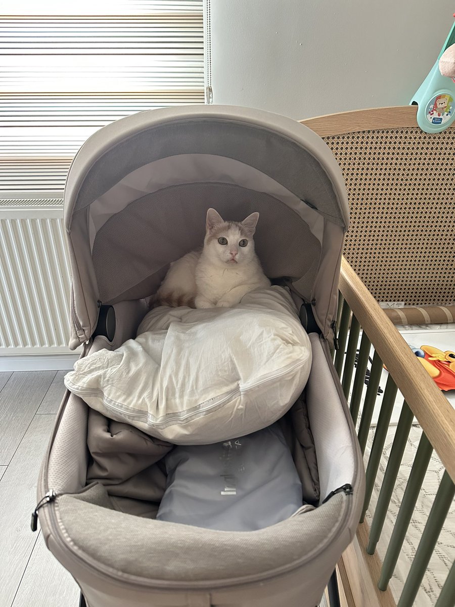 Arabanın kucuruna bankmayın kıslar