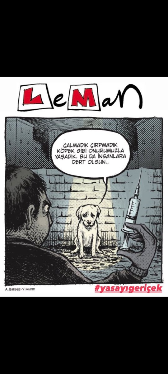 🧘🏼‍♀️ (@azalecela) on Twitter photo 