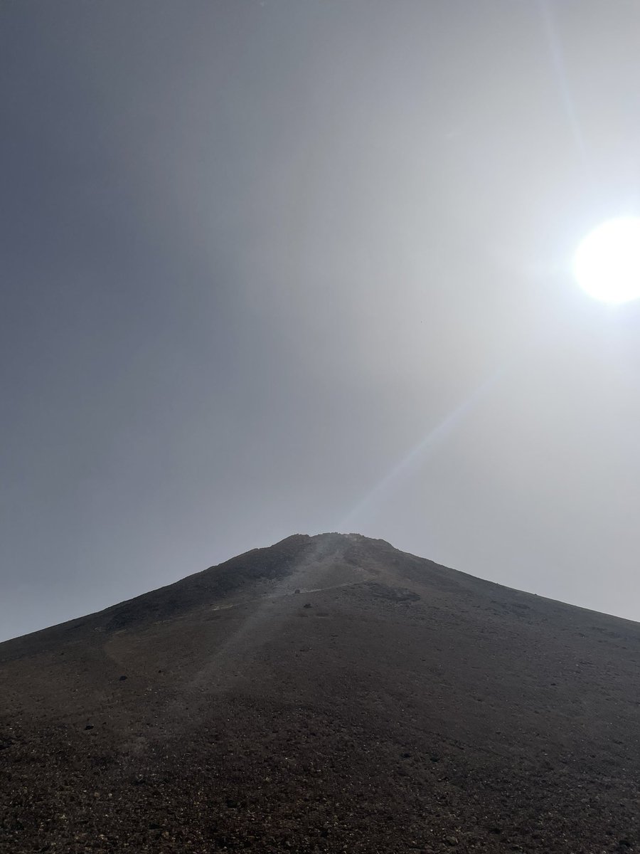 Leslie Boc tweet media