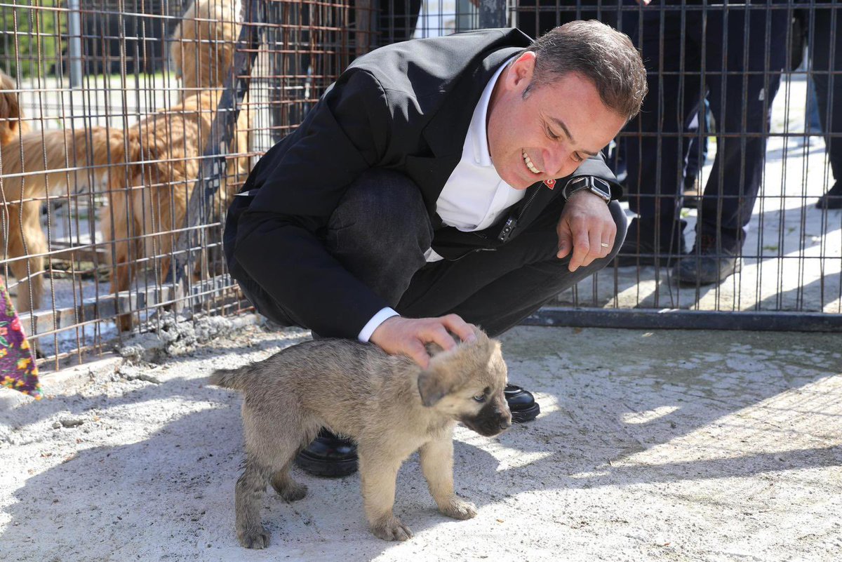 Ben Balıkesir Büyükşehir Belediye Başkanı Ahmet Akın. 

Bir belediye başkanı olarak sokakta yaşayan can dostlarımıza karşı sorumluluklarımız olduğunun bilinciyle, onların huzurlu bir yaşam sürdürebilmeleri için doğa ile barışık uygulamaları destekliyorum.

Sokak hayvanlarımızın