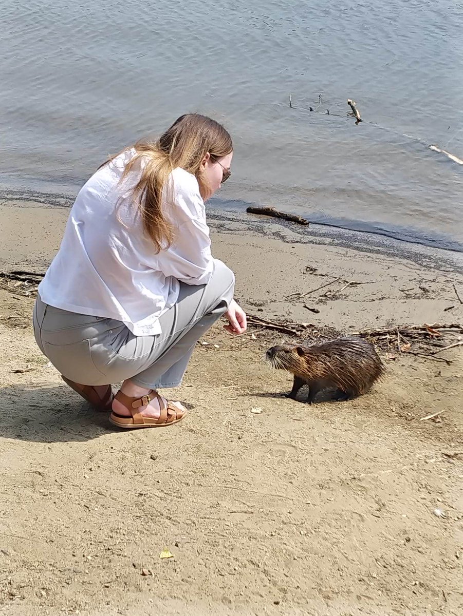 Spent a week back in Prague and became mates with a fake beaver (Nutria).💕
