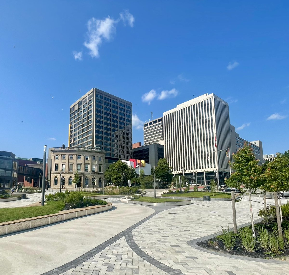 Mel Norton 🇨🇦 tweet media