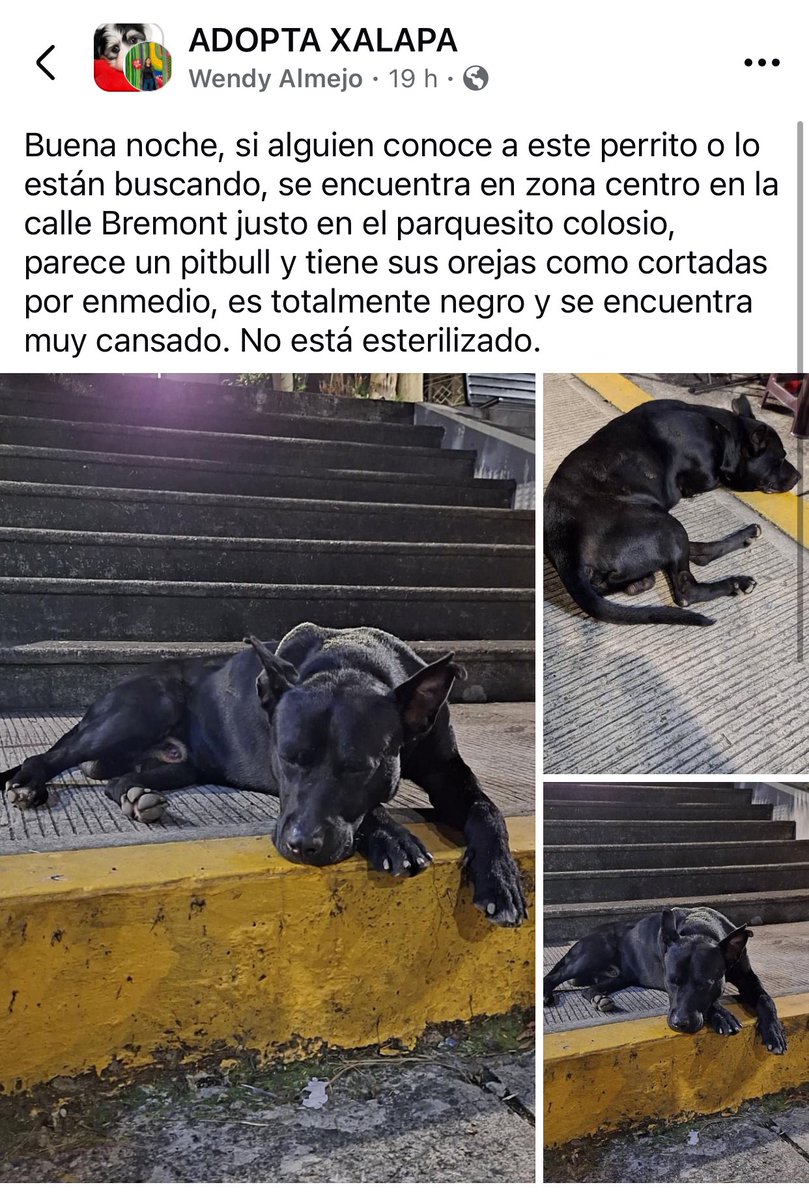 RT🐶
<a href="/PacoDizfinck/">𝗣𝗮𝗰𝗼 𝗗𝗶𝘇𝗳𝗶𝗻𝗰𝗸</a> <a href="/pilykuera/">Pily Peregrina</a> <a href="/aasullegna/">Angie Triaz🙏🏽</a> <a href="/VialidadXalapa/">Vialidad Xalapa 🚦 VX 🌎</a> <a href="/mageba04/">Gina alarcon</a> <a href="/anicienta_6/">Ana Pelaez</a> <a href="/tierraverde1943/">ℓια ₊˚.༄ *ﾟ🌱</a> <a href="/sara_juarez/">saraliz</a> <a href="/marydebeck/">Maryde</a> <a href="/Mtra_Shaira/">Shaira</a> <a href="/Corintiacruz/">Corintia Cruz Oregón</a> <a href="/mayteponm/">Mayte P.</a> <a href="/CECILLIA36/">CECILIA MENDEZ</a> <a href="/RoxanaAAT/">Feto de PicaFresa🍓</a> <a href="/camellinlove/">Porque soy xalapeño</a> <a href="/penelopemoncayo/">Penélope Moncayo.</a> <a href="/MitziArias_/">Mitzi Arias</a> <a href="/fherciencias/">Soy Fher!</a> <a href="/AbelMucino/">Abel Muciño</a> #Xalapa <a href="/fherciencias/">Soy Fher!</a>