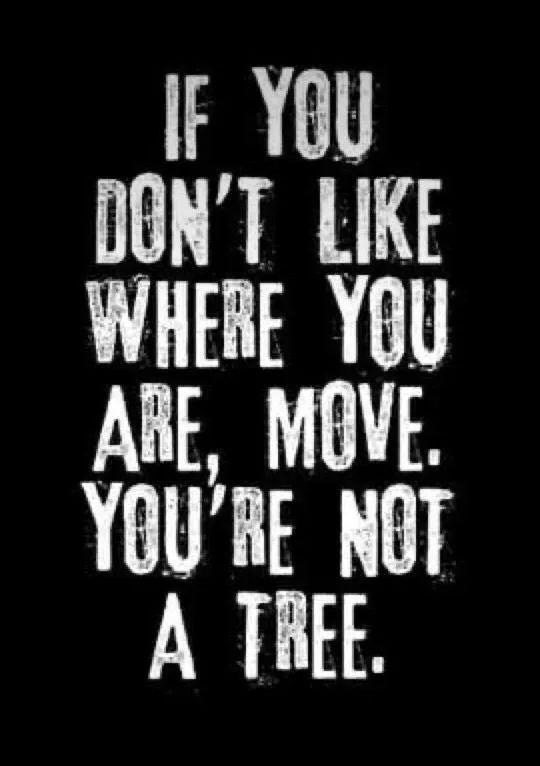 Vaibhaw Purohit | Motivation tweet media