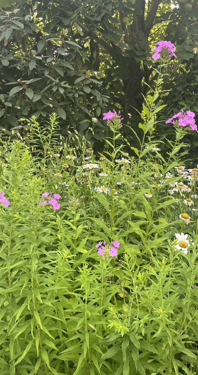 KumbukeniD's tweet image. It was a beautiful day at the garden today! #nature #connectwithnature #onewithnature #naturetherapy