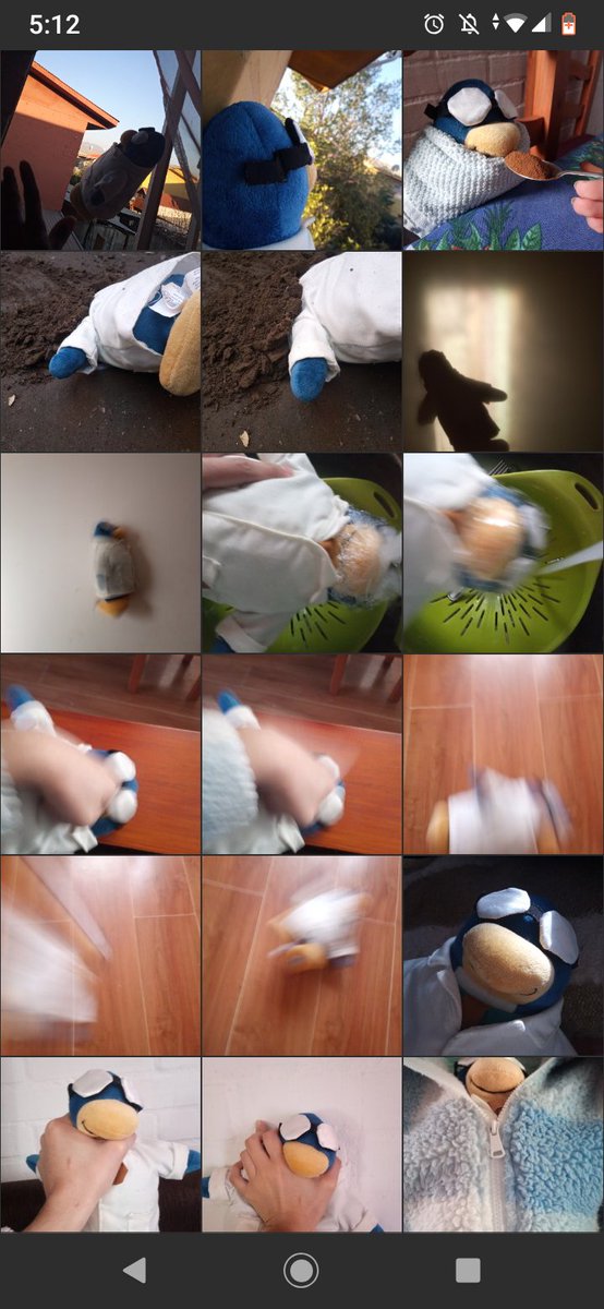 🛡️ Muffin!! 🛡️ tweet media