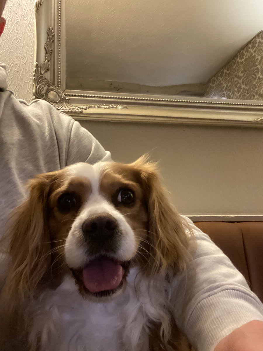 The Roebuck tweet media