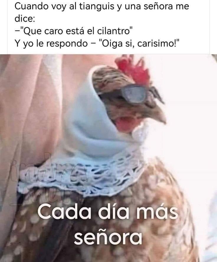 Brujo_Belico's tweet photo. JAJAJAJAJAJAJA💦 https://t.co/dKGRigEo8L
