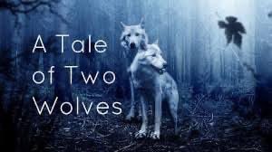 Inside of you are two wolves. Inside of those two wolves, are four wolves. And all of those wolves have two smaller wolves, and so on to infinity. Which leads us to the understanding that the fundamental basis of the fabric of reality is wolves. 

The End