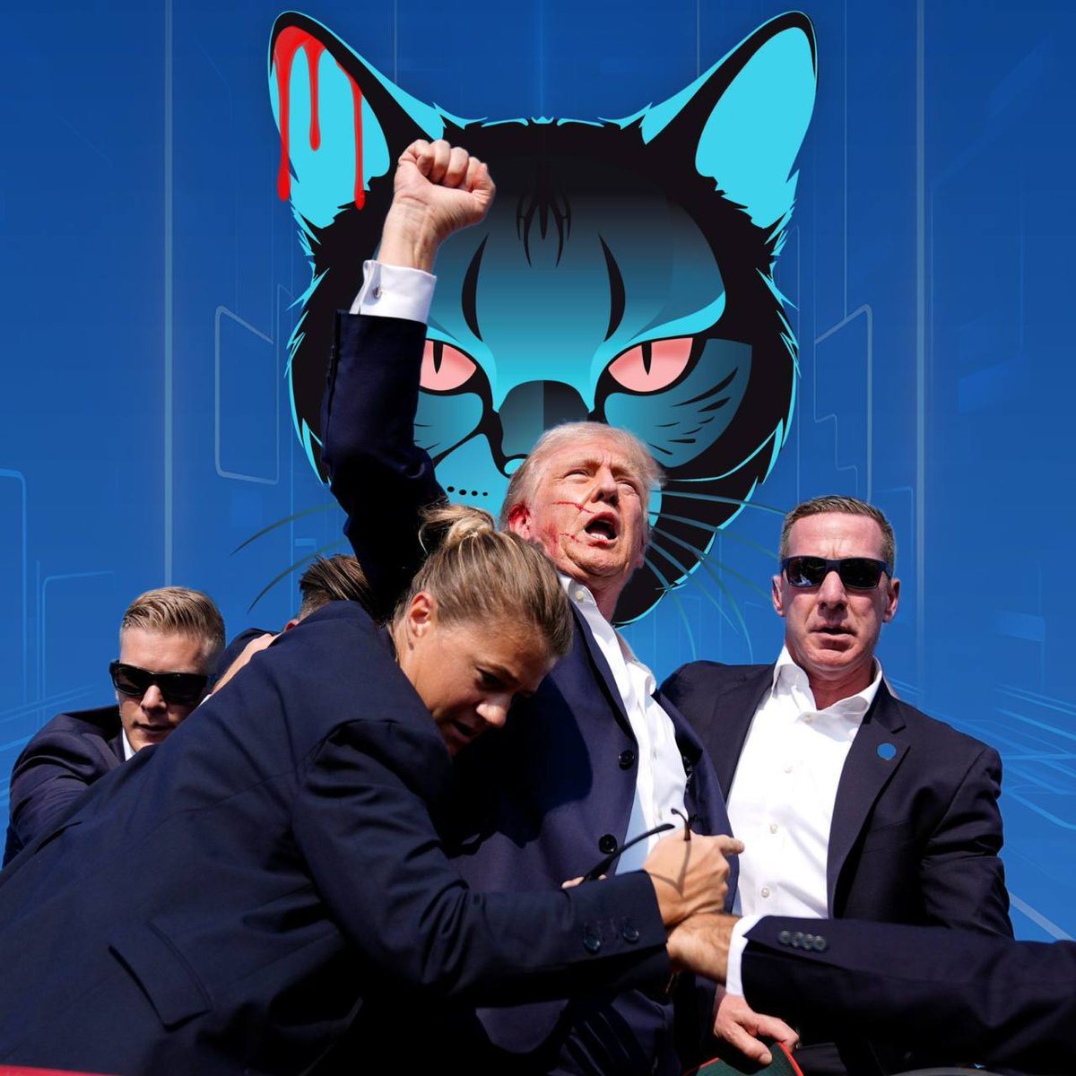 TAPCAT tweet media