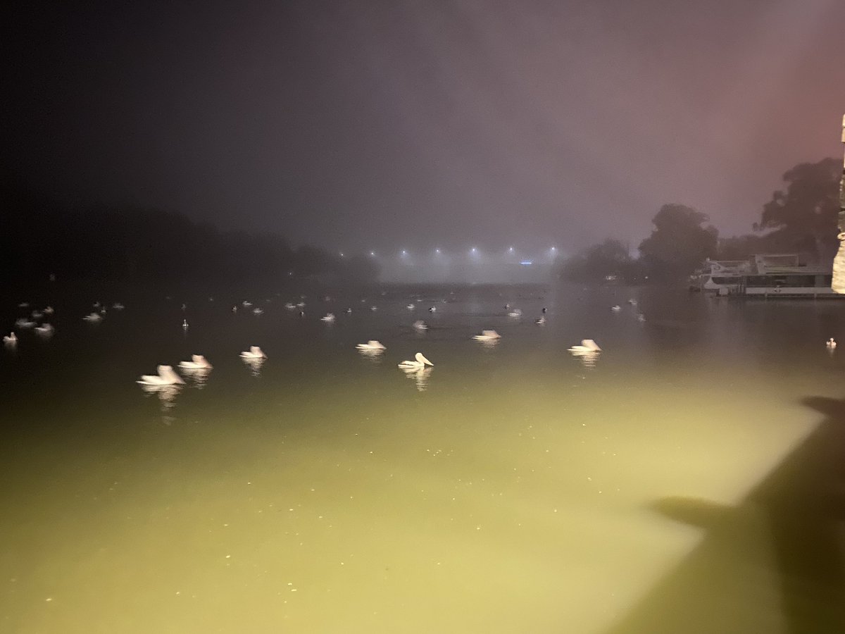 Luke barlow tweet media