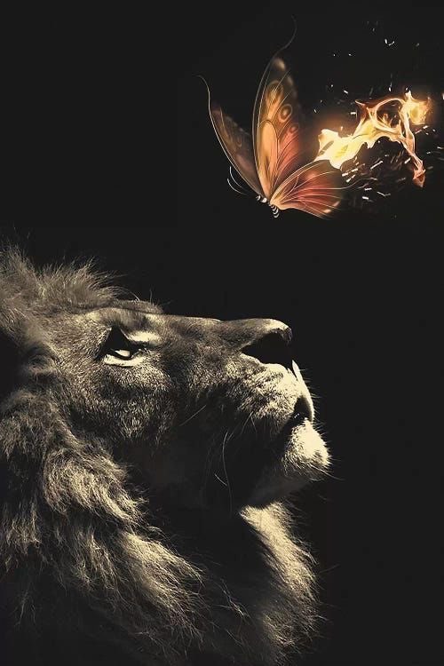 DaniHealz333's tweet photo. 🦁💫✨#Leo #LeoSquad https://t.co/cCk3yy5QQ4