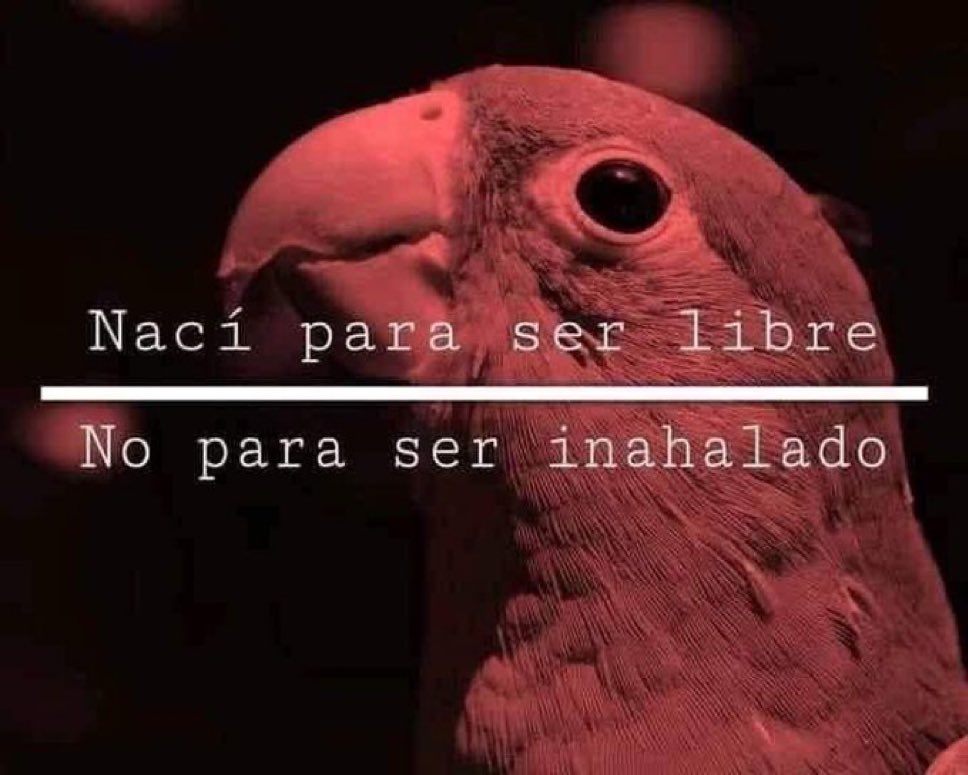 MexicoMagico's tweet photo. https://t.co/lwgH49bq4w