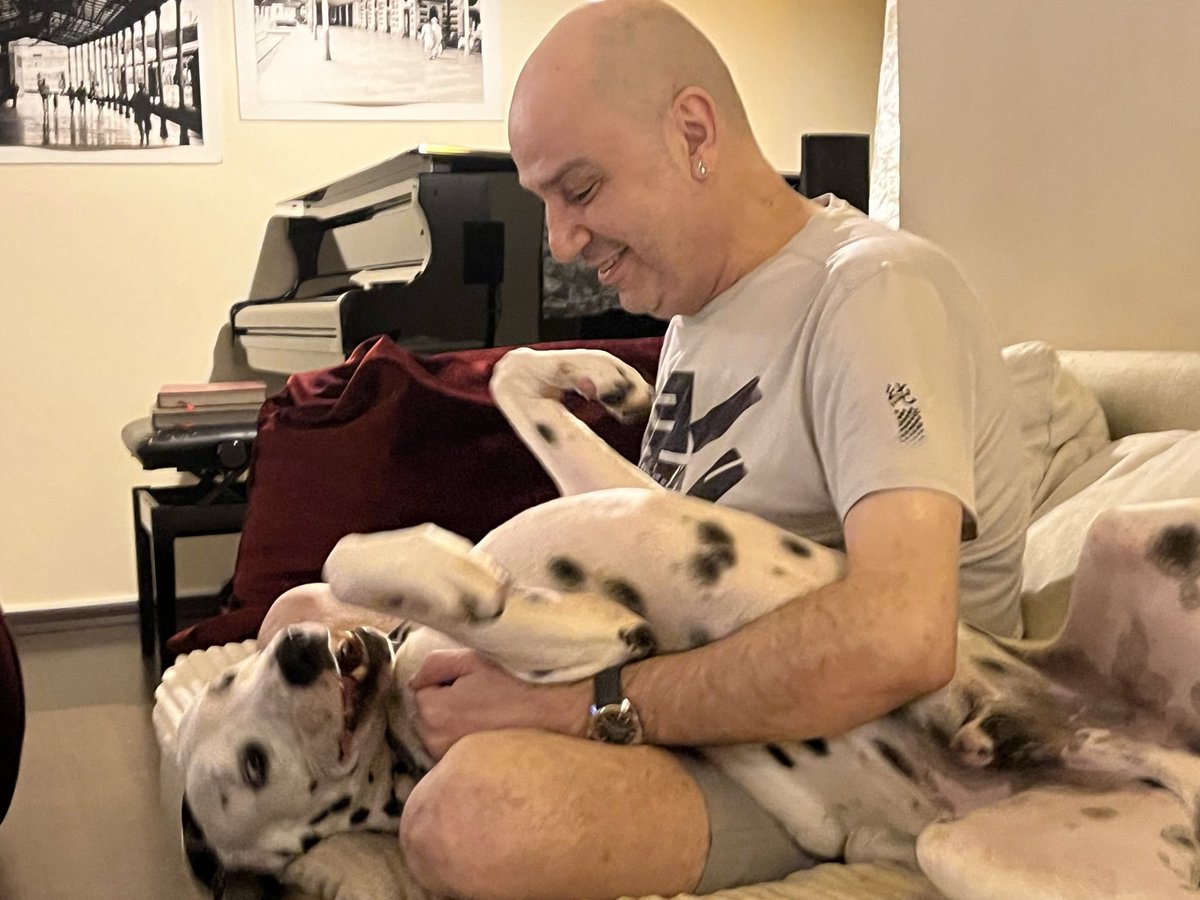 Yasayı geri çek. Bunun adı katliamdır. Uyutuyoruzun altına sığınmayın KATİLLİK bu #YasayiGeriÇek