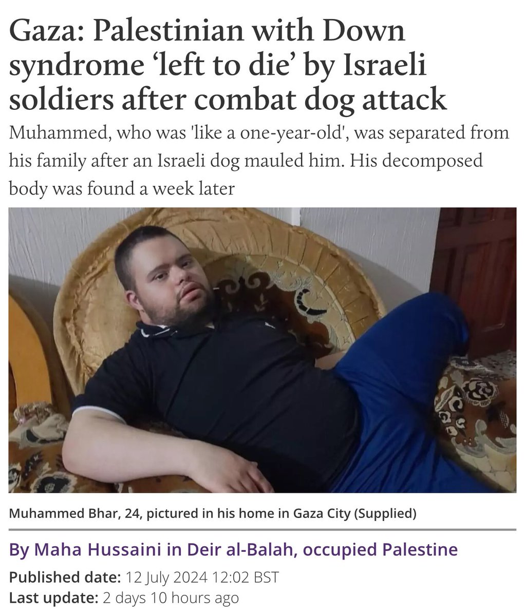 Falastin Flip tweet media