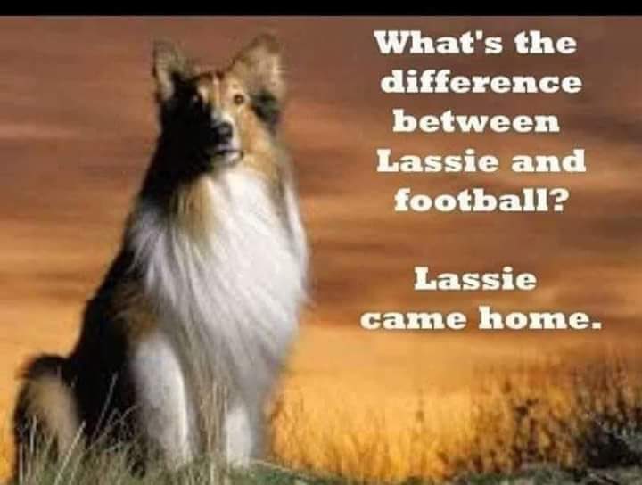 Euan Campbell (@hanclansolo77) on Twitter photo 