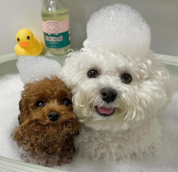 cracker leo tweet media