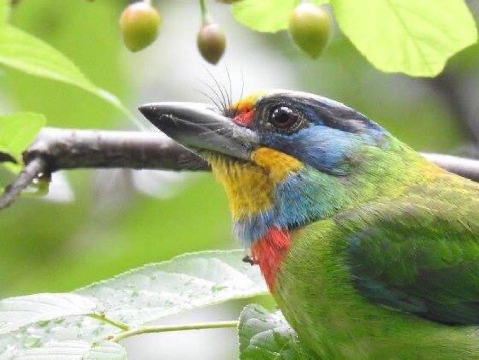 A good day to watch birds instead.