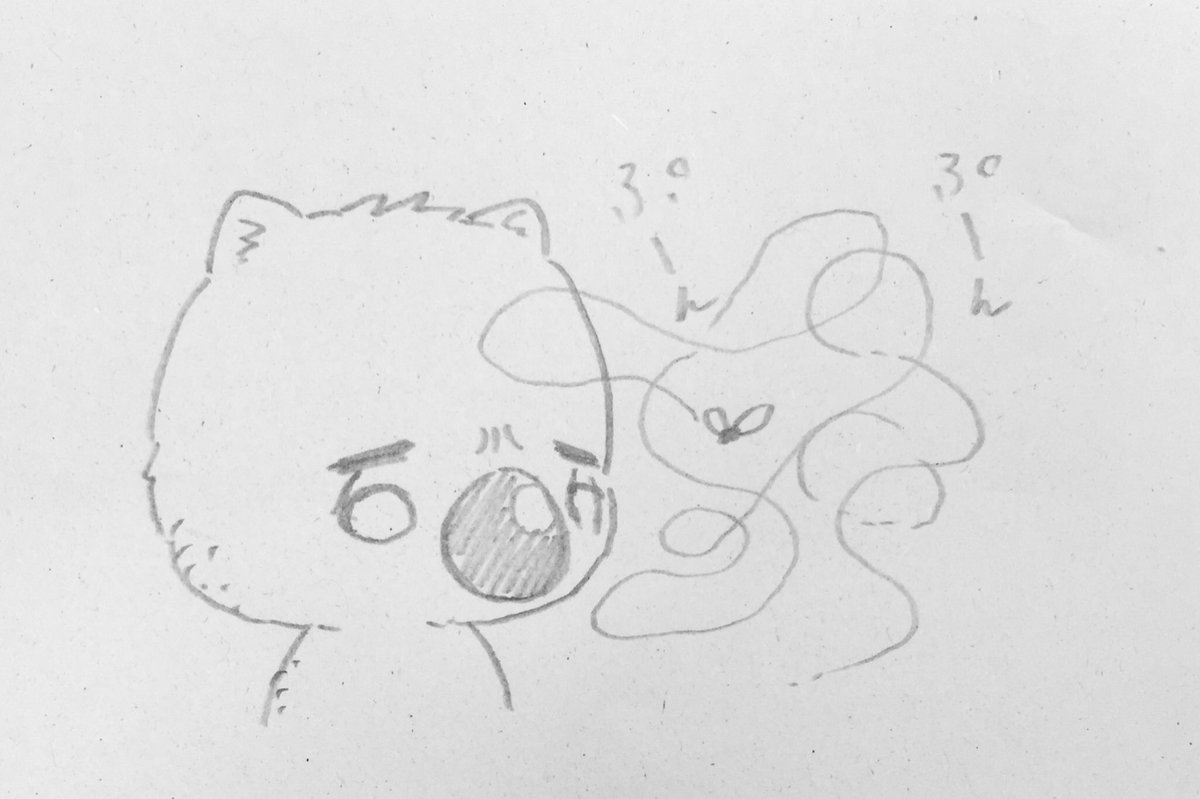 生きてます 