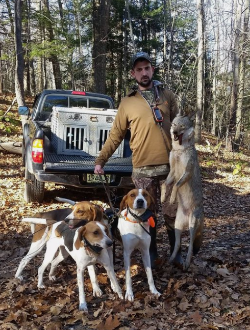 NHCART's tweet photo. Using domestic canines to chase and terrorize wild canines is not conservation, it is animal cruelty. If you do not want this happening on your property in New Hampshire, you need to #PostYourLand
#BanHoundHunting #CompassionOverKilling #Coyote #Coexist https://t.co/yK8eDMOJGm
