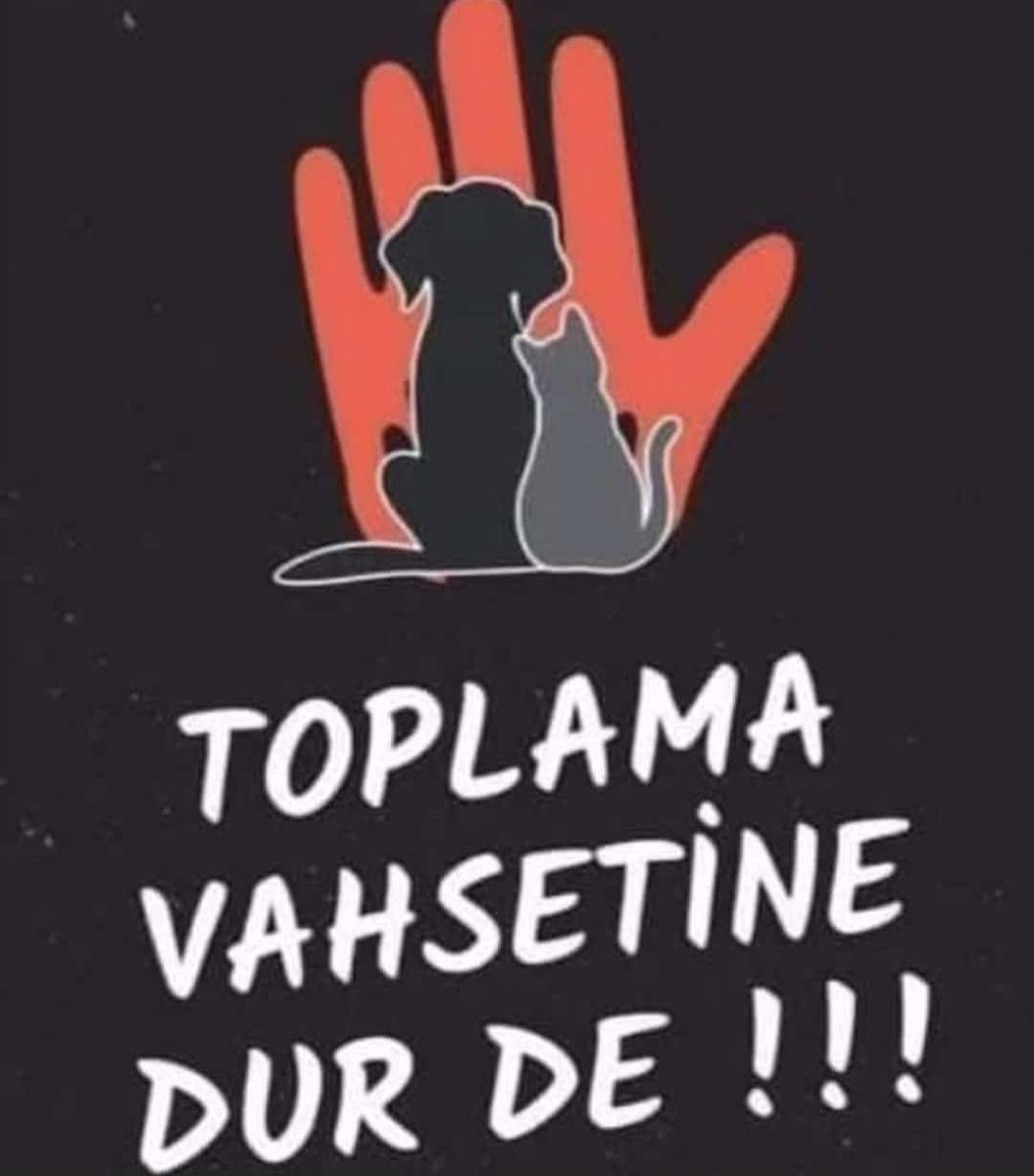 gönül demir (@demir_gonul) on Twitter photo 