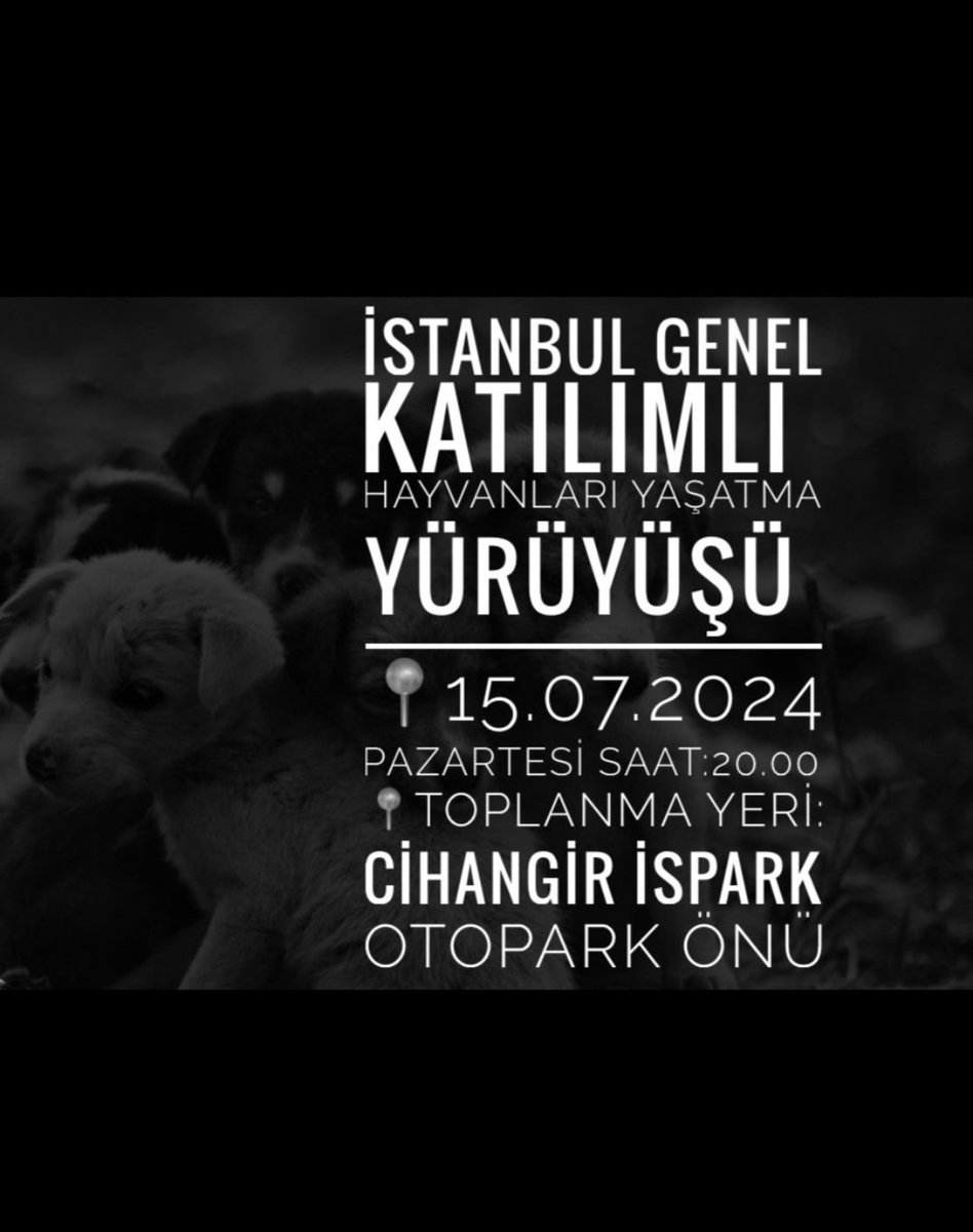 gönül demir (@demir_gonul) on Twitter photo 