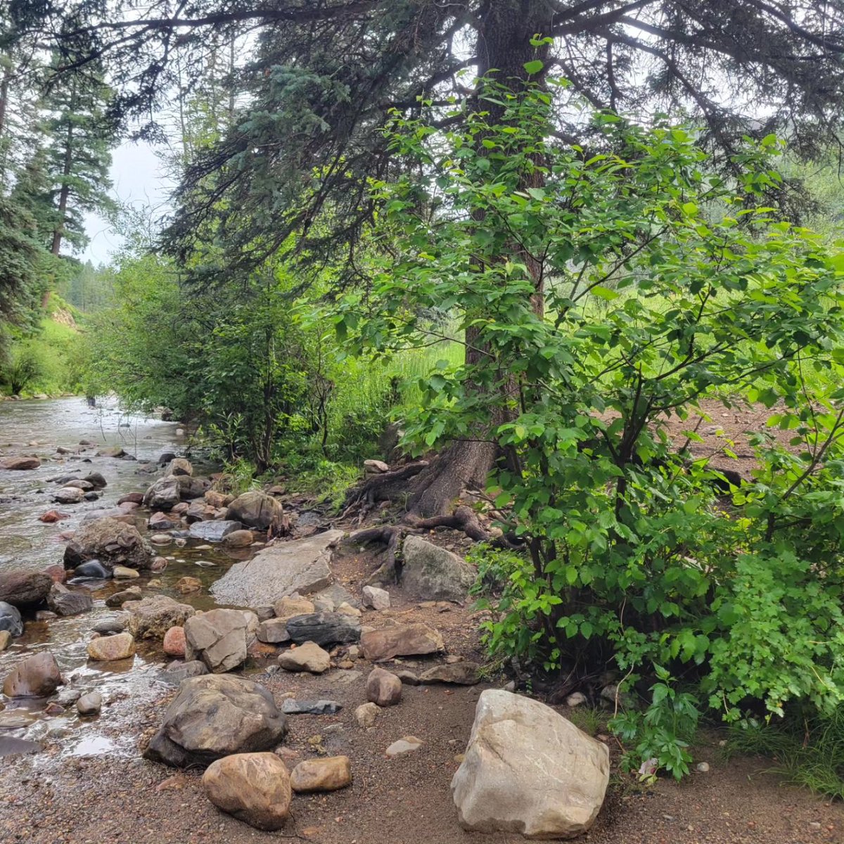K5Sews's tweet photo. A pretty little weekend getaway https://t.co/vdMCZwIXE4
