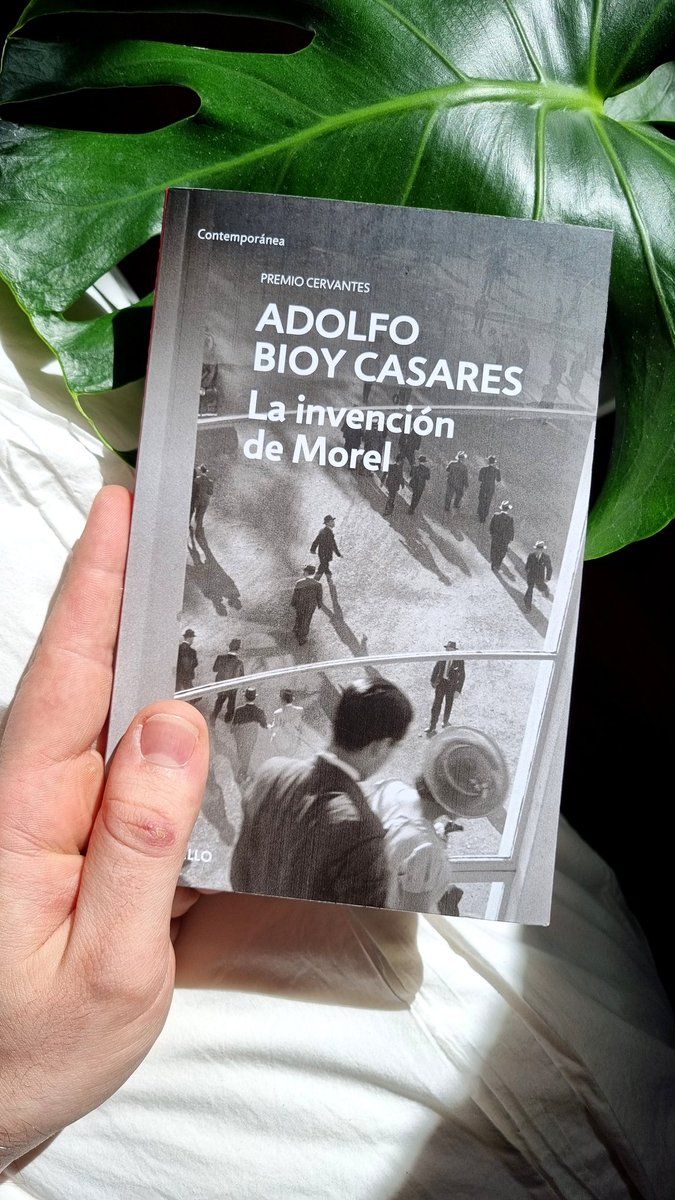 Geniocatil. tweet media