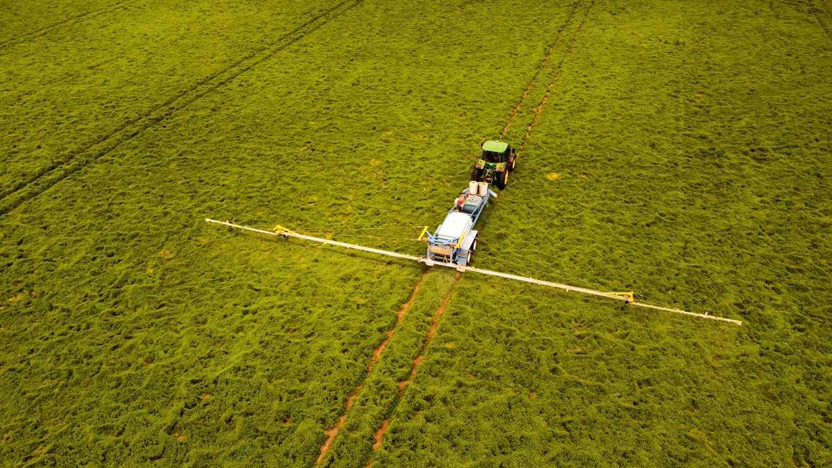 Seanna Farrow tweet media