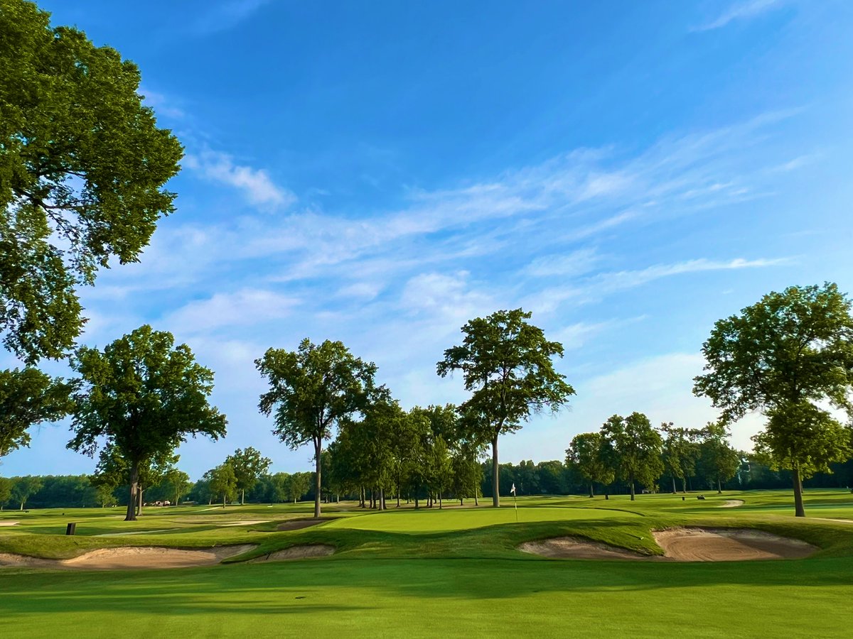 Joe Arnold tweet media