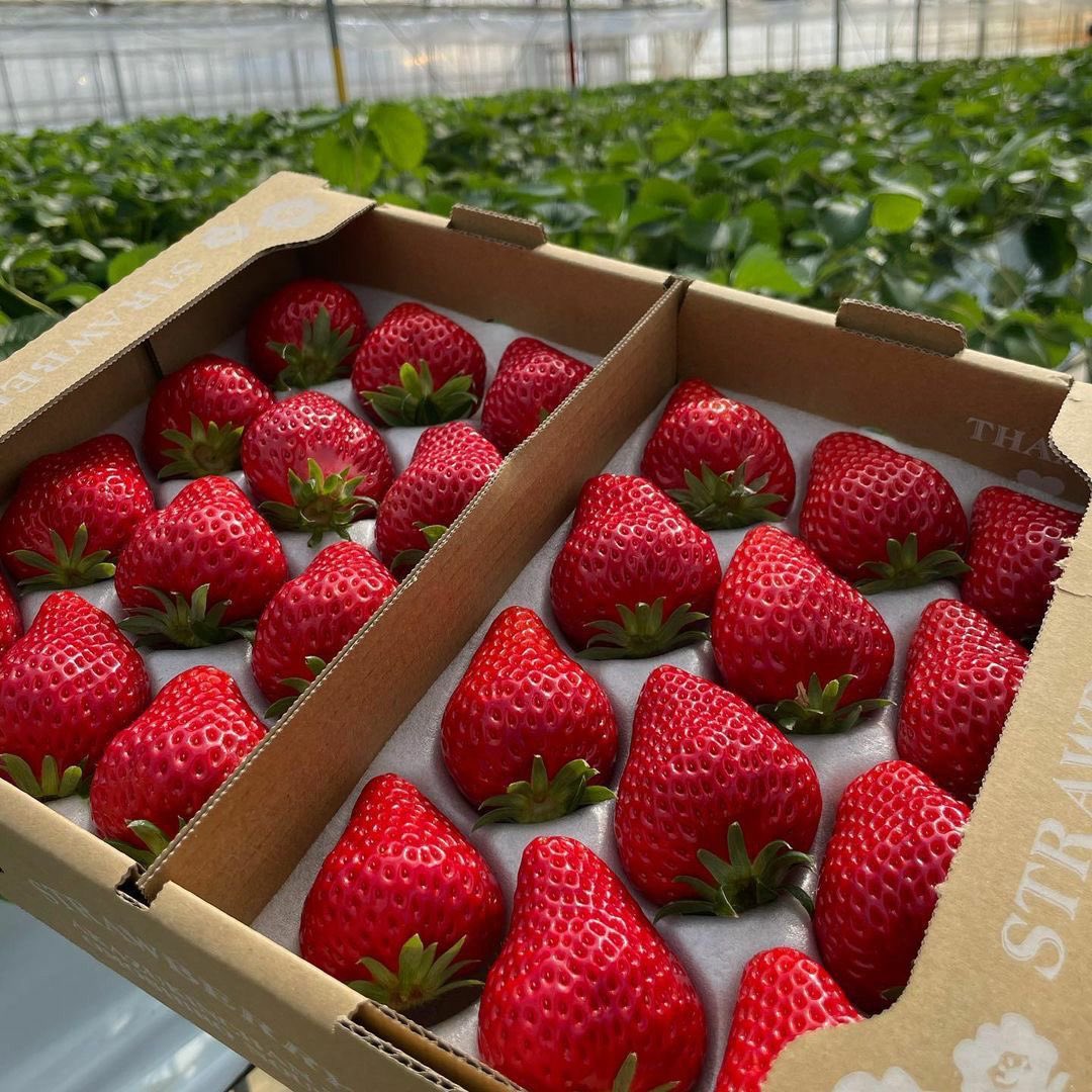 🍓