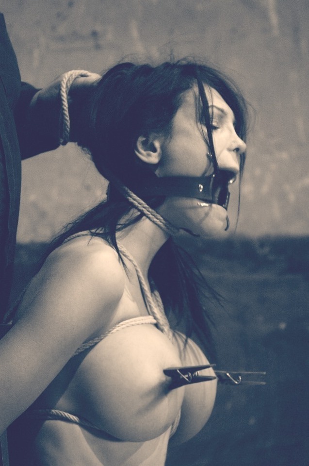 Mraspire's tweet photo. Hot BDSM https://t.co/rMBcv9edk4