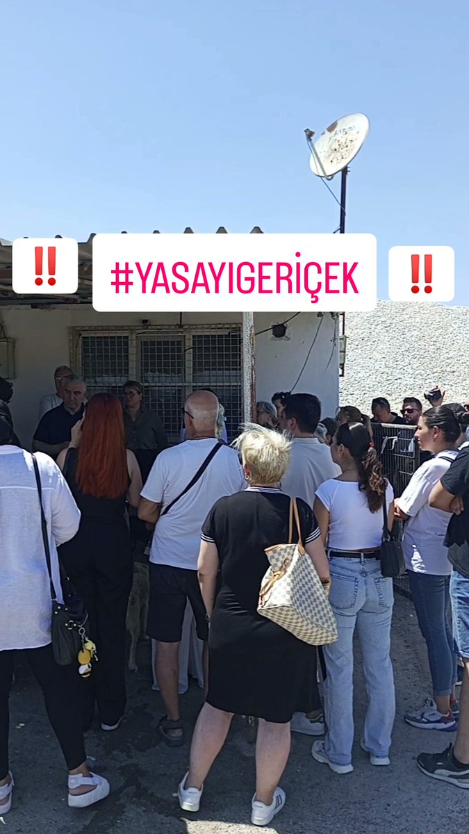 ENESGLTEKN1's tweet photo. Bugün büyük küçük herkes yaşatmak için katliama hayır dedi,bu topraklarda kedinin köpeğin olduğu sokakta büyüyen teyzeler, amcalar şimdi de onların büyüttüğü çocuklar ve torunları. Sizin kirli oyunlarınıza inat her zaman bu canların yanında olacağız!

#KatliamaOyumHayır https://t.co/KvYclBTgWo