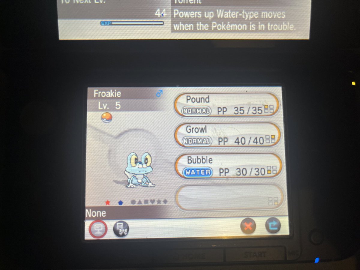 RisingHybrid's tweet photo. OMG!!! So while I was streaming on #Twitch I was #shinyhunting a Shiny Froakie for my #Pokemon Y ONLY SHINY RUN!! And as I was informing my audience what I was doing, this guy showed up…

#gaming #PokemonGO #shinypokemon #pokemony #StreamingNow https://t.co/vFpRQN8cdY