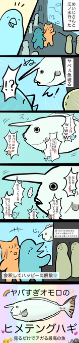 めいじさんと江ノ水行った日記✍️🐦 