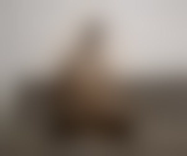 He publicado un nuevo contenido en Loverfans. Puedes verlo en https://t.co/FVE239WnAq https://t.co/X