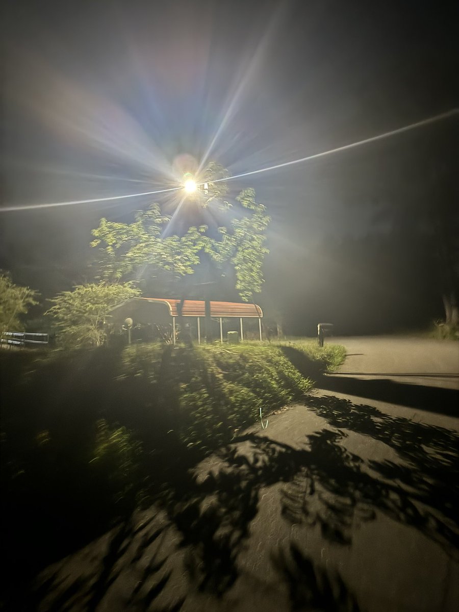 LukeRangeWalker's tweet photo. This street light hurts my eyes.

Wildlife feel the same.

Here are four characteristics of wildlife friendly outdoor lighting (example pics below):

1. Light shielded downward

2. Motion activated

3. Lower intensity

4. Warmer colors (low wavelength). 

Some simple changes can make a big difference… and improve your stargazing.