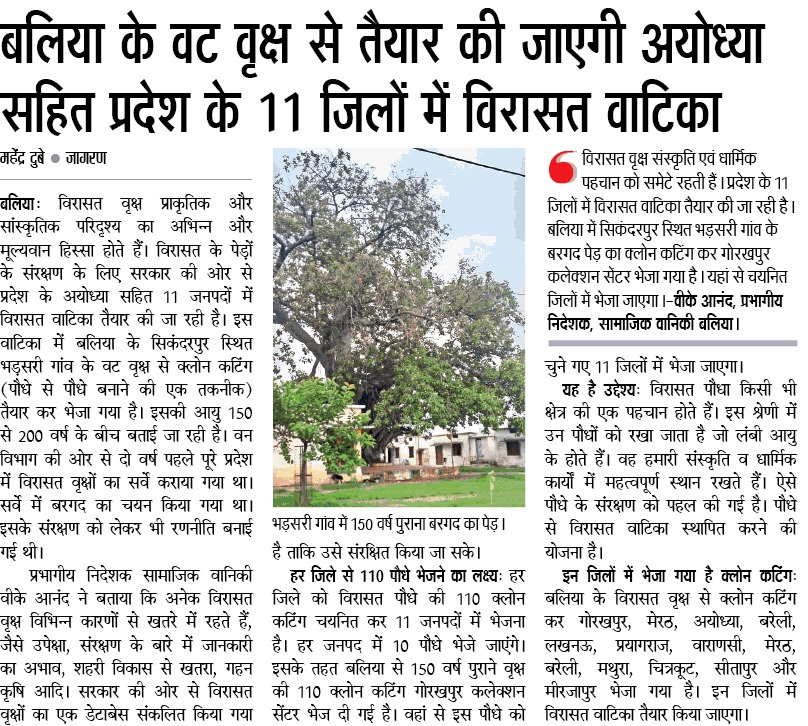 पेड़ों के संरक्षण के लिए #UPGovt द्वारा अयोध्या सहित 11 जनपदों में विरासत वाटिका तैयार की जा रही है।

वाटिका में बलिया के सिकंदरपुर स्थित भड़सरी गांव के वट वृक्ष से क्लोन कटिंग तैयार कर भेजा गया है। इसकी आयु 150 से 200 वर्ष के बीच बताई जा रही है। 

#NayeBharatKaNayaUP