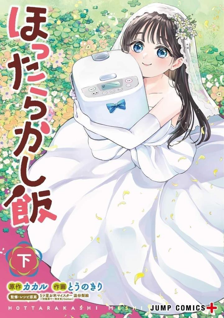That time I got Reincarnated as a Rice Cooker