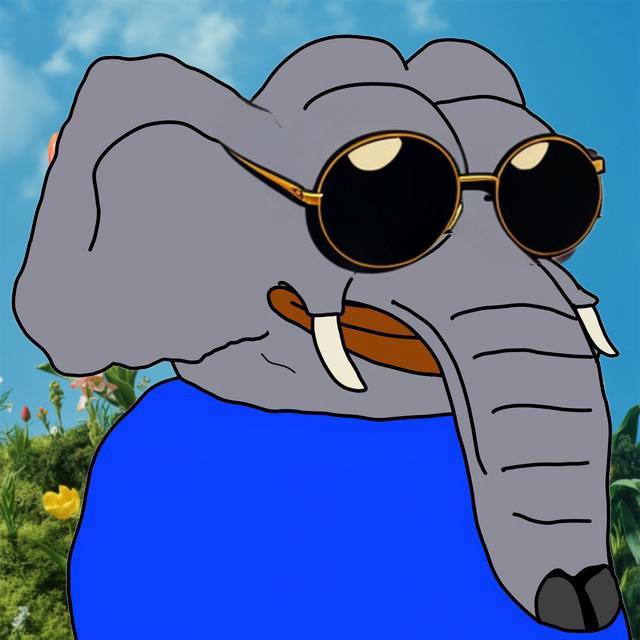 Ele always in fashion 🐘😎 $Ele