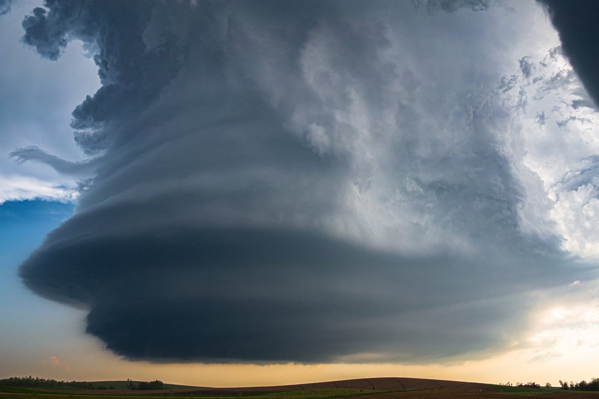 Eric Anderson tweet media