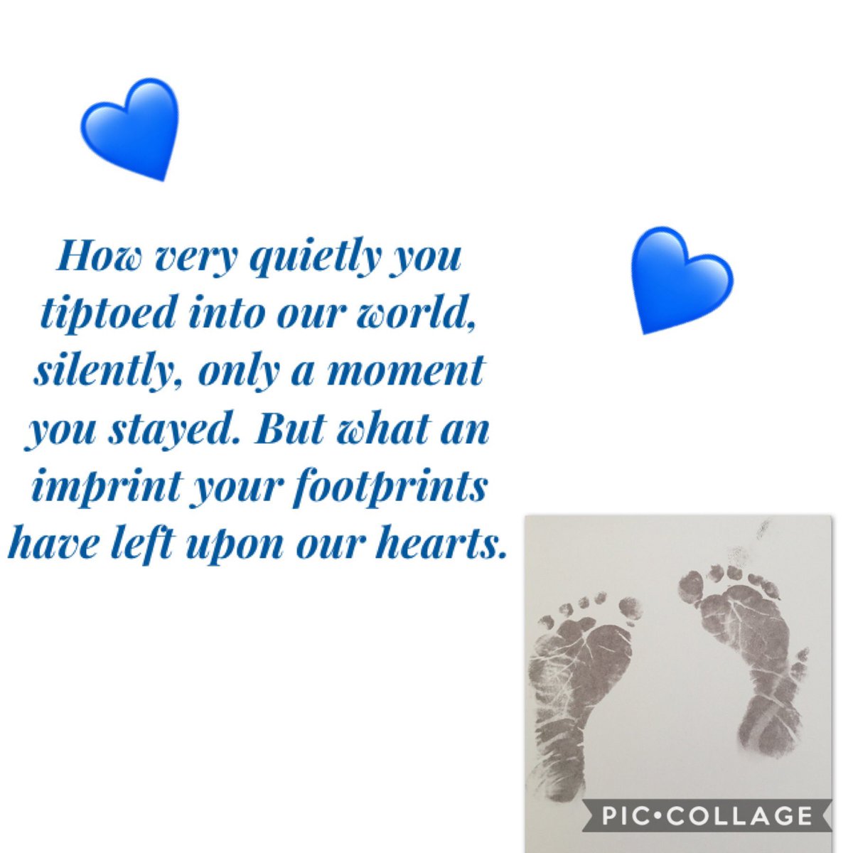 Candace McColgan tweet media