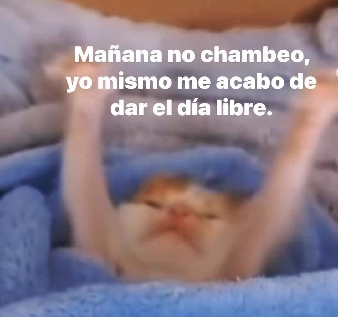Asies.